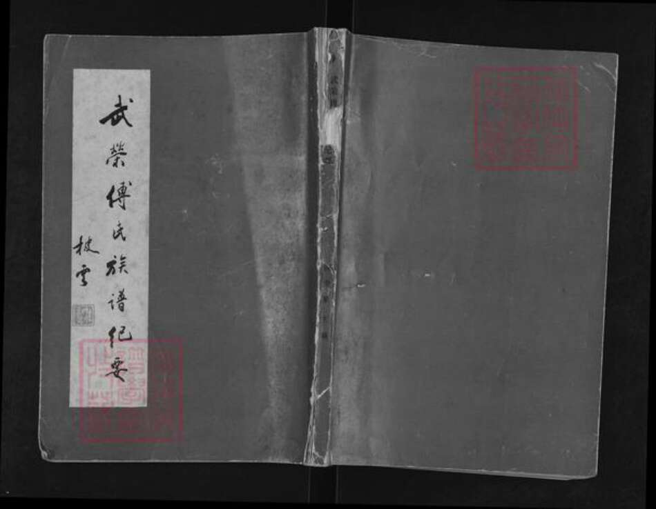 福建省泉州市南安市丰州镇傅氏族谱-武荣傅氏族谱纪要.pdf电子版缩略图
