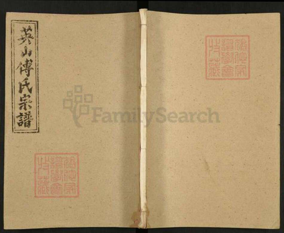 湖北省黄冈市英山县傅氏敦文堂族谱-英山傅氏宗谱.pdf电子版缩略图