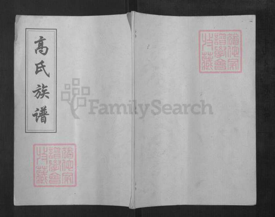 湖南省邵阳市高氏族谱-高氏族谱.pdf电子版缩略图