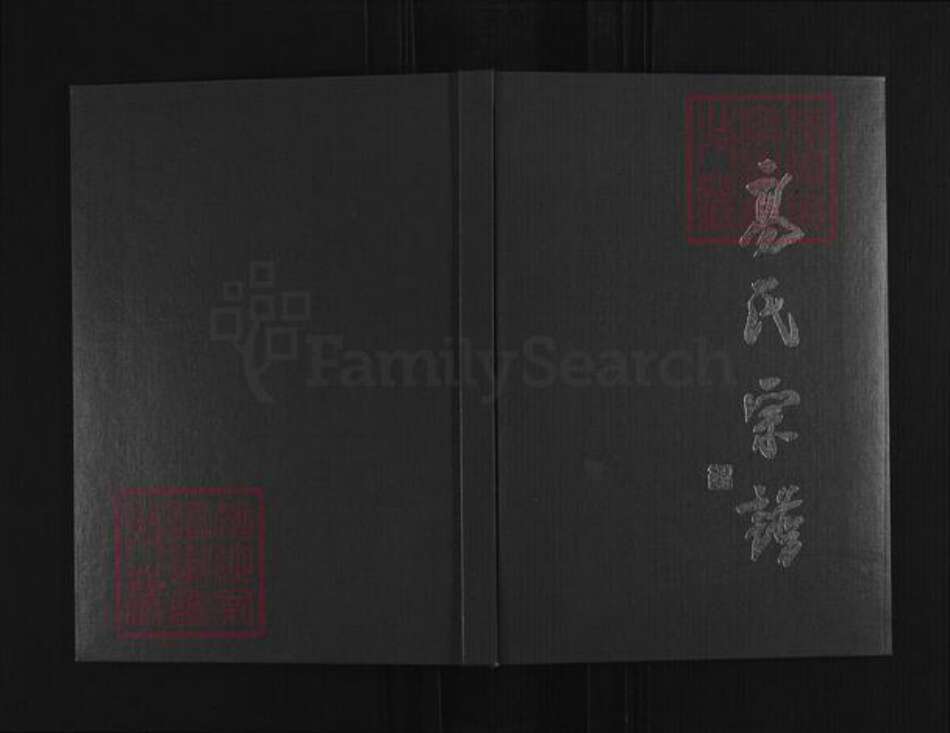 山西省忻州市定襄县神山乡高氏族谱-高氏宗谱.pdf电子版缩略图