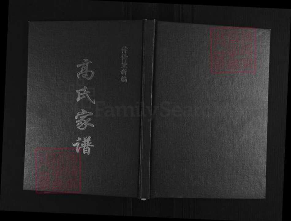 山西省忻州市繁峙县高氏族谱-高氏家谱.pdf电子版缩略图