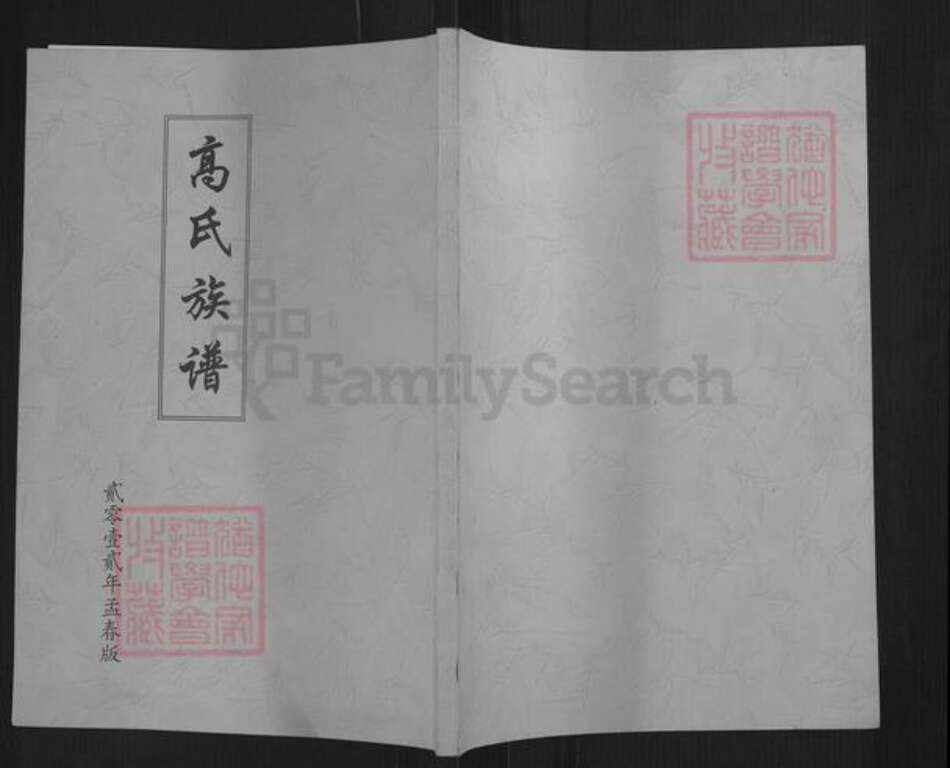 山西省忻州市代县枣林镇高氏族谱-高氏族谱.pdf电子版缩略图