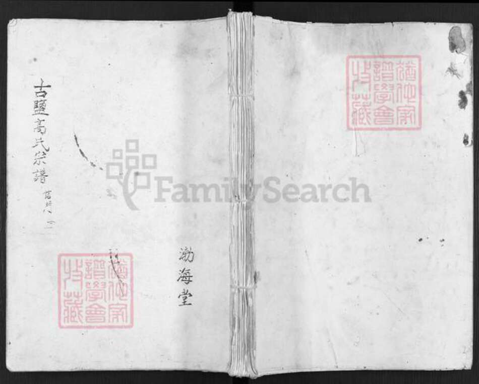 江苏省盐城市建湖县庆丰镇高氏渤海堂族谱-古盐高氏宗谱.信门.pdf电子版缩略图