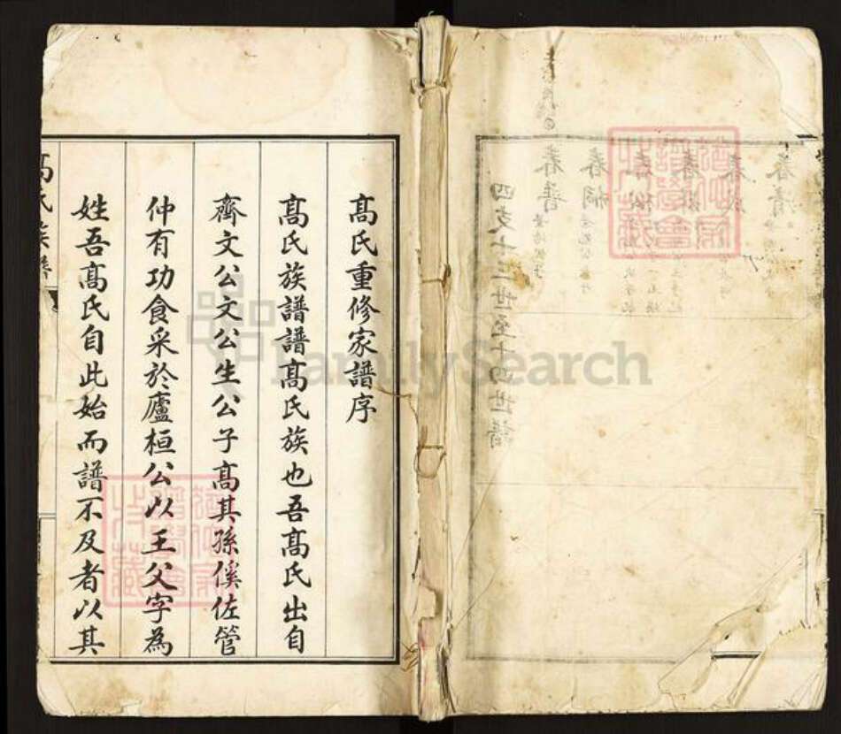 河北省沧州东光县高氏族谱-高氏族谱.pdf电子版缩略图