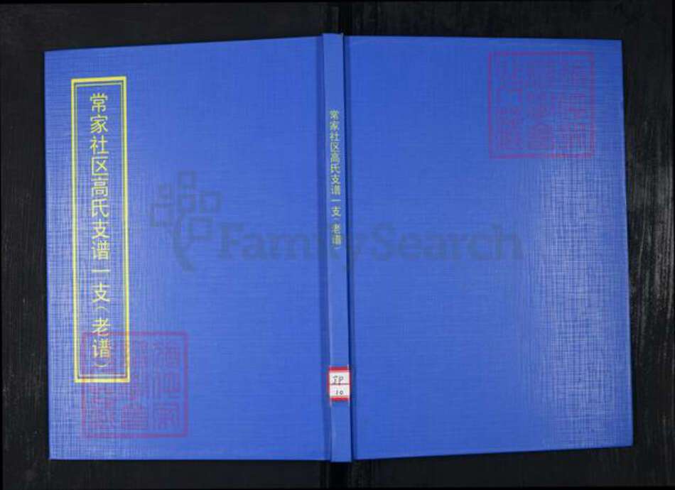 山东省青岛市崂山区高氏族谱-常家社区高氏支族谱一支(老谱).pdf电子版缩略图