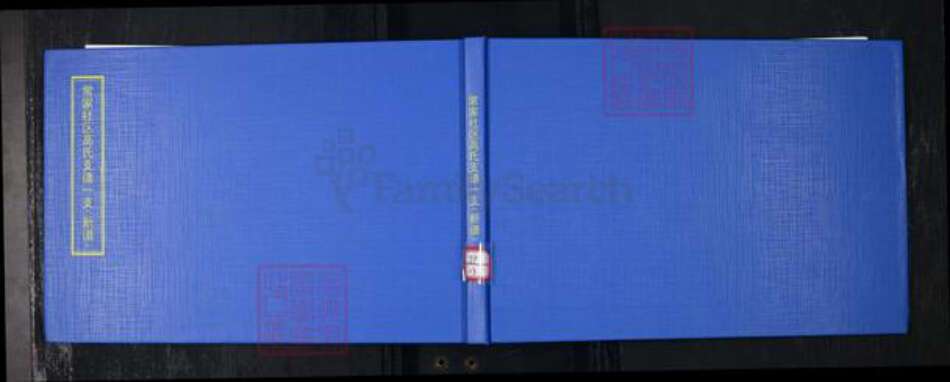 山东省青岛市崂山区高氏族谱-常家社区高氏支族谱一支(新谱).pdf电子版缩略图