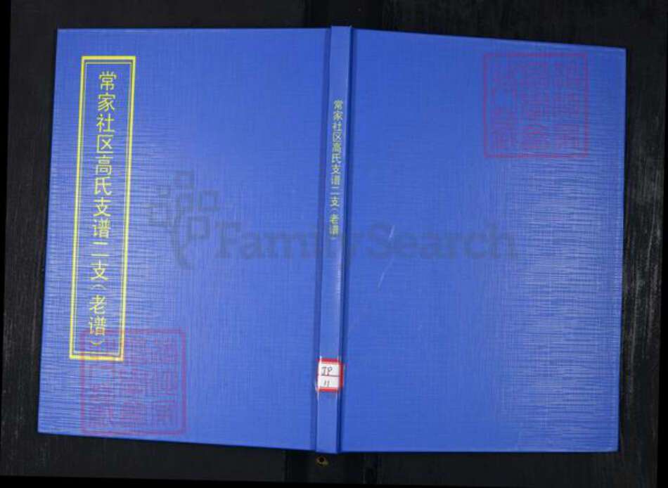 山东省青岛市崂山区高氏族谱-常家社区高氏支族谱二支(老谱).pdf电子版缩略图