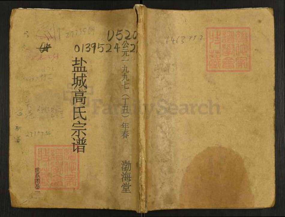 江苏省盐城市建湖县上冈镇高氏渤海堂族谱-盐城高氏宗谱.pdf电子版缩略图