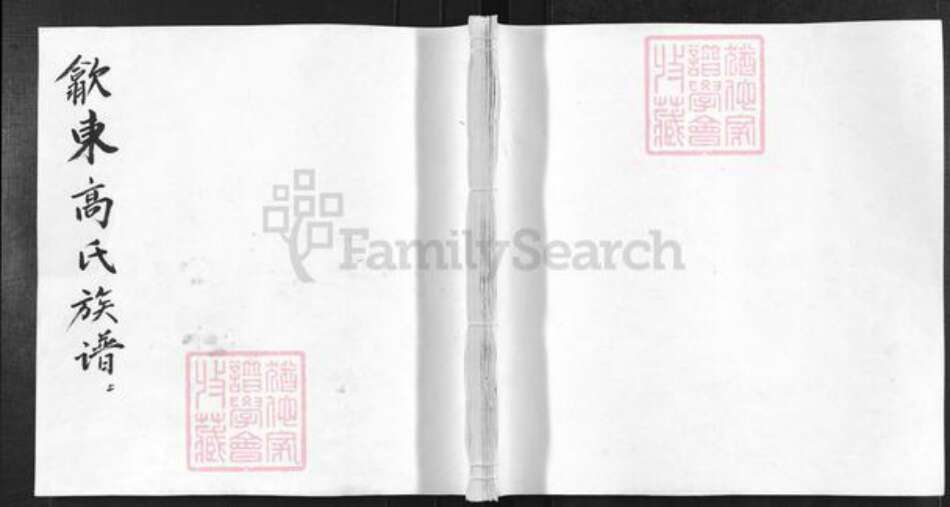 安徽省宣城市绩溪县高氏敦序堂族谱-歙东高氏族谱.pdf电子版缩略图