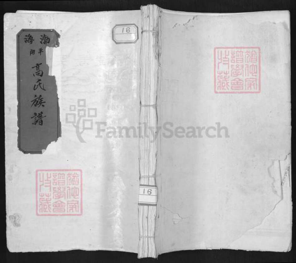 浙江省温州市平阳县昆阳镇高氏族谱-渤海平阳高氏族谱.pdf电子版缩略图