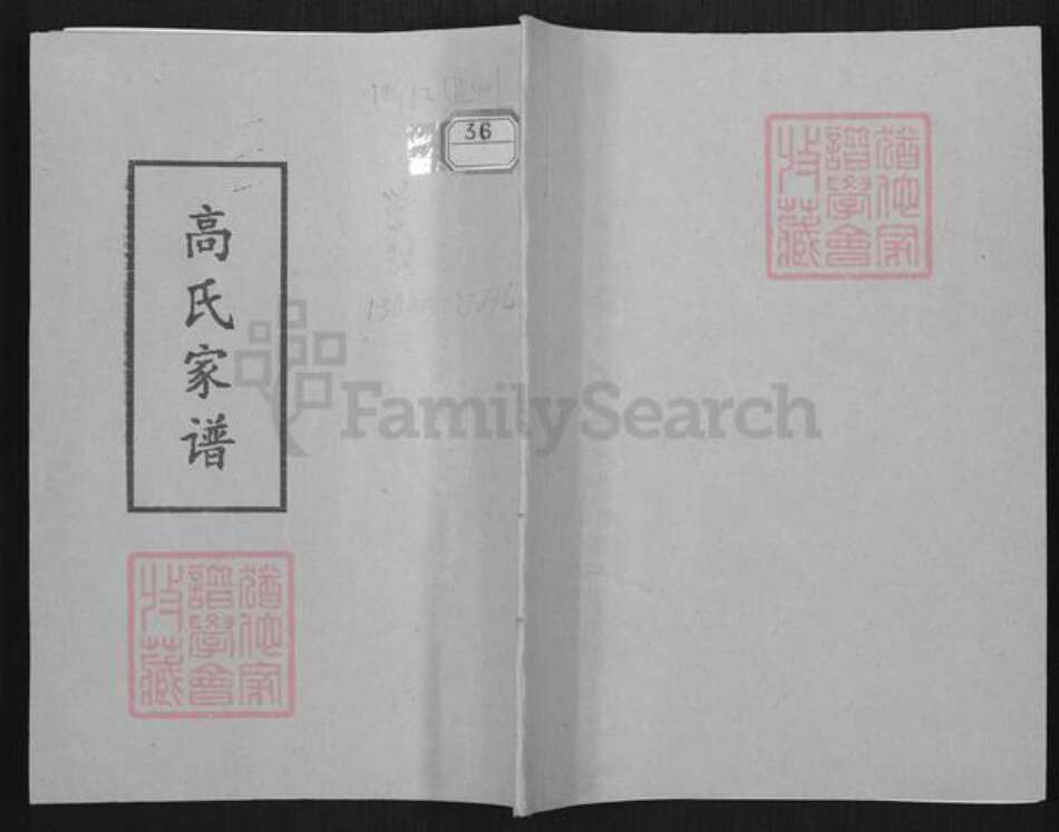 浙江省温州市平阳县昆阳镇高氏族谱-高氏家谱.pdf电子版缩略图