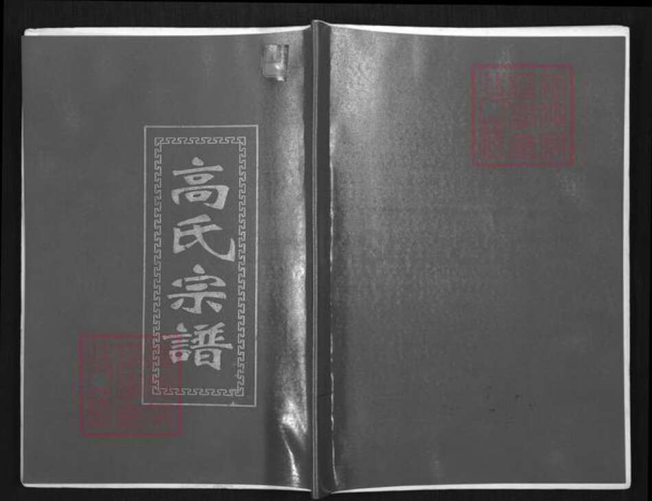 福建省宁德市福鼎市桐山街道高氏族谱-高氏宗谱.pdf电子版缩略图