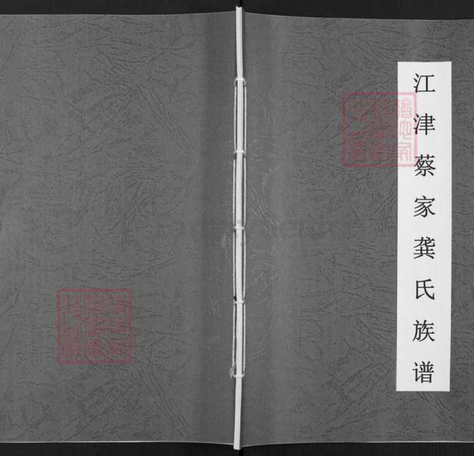 重庆市江津区李市镇龚氏族谱-江津蔡家龚氏族谱.pdf电子版缩略图