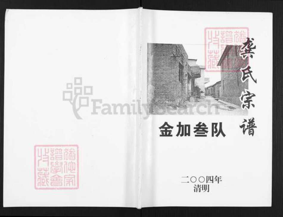 广西壮族自治区桂林市灵川县灵川龚氏族谱-龚氏宗谱.金加叁队.pdf电子版缩略图