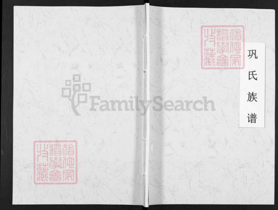 四川省绵阳市江油市大康镇巩氏族谱-巩氏族谱.pdf电子版