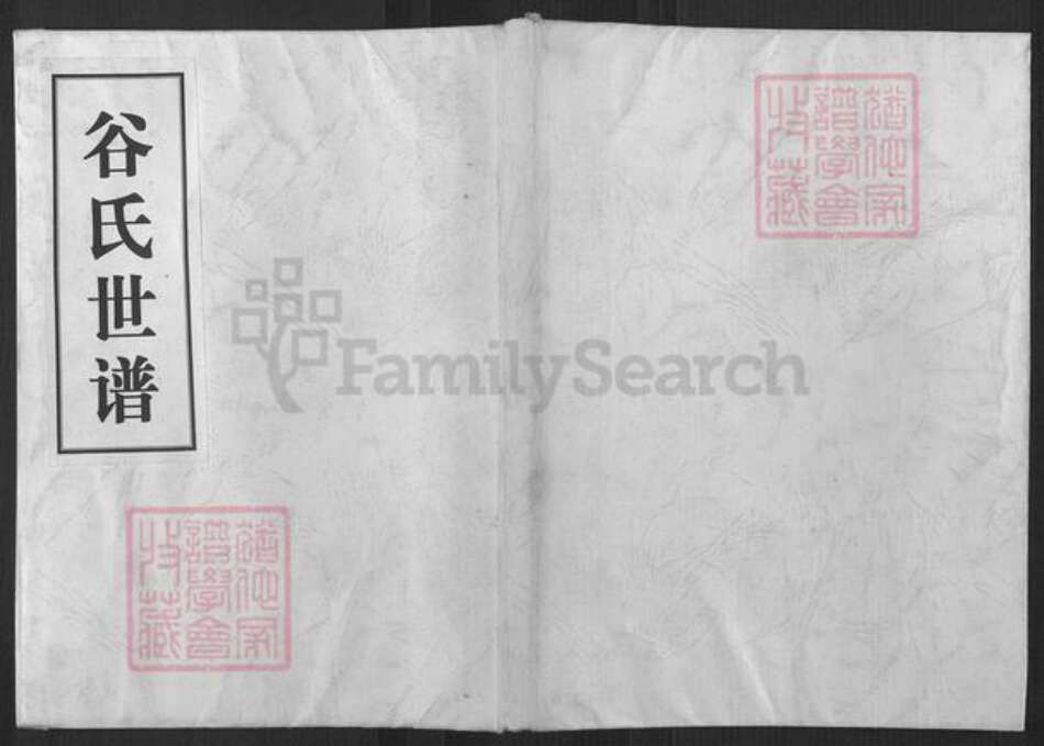 山东省淄博市桓台县唐山镇谷氏族谱-谷氏世谱.pdf电子版缩略图