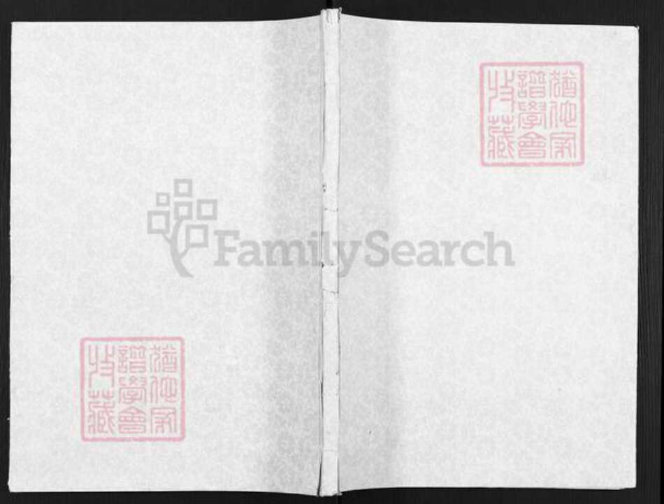 江苏省扬州市邗江区顾氏观光堂族谱-顾氏宗谱.pdf电子版缩略图