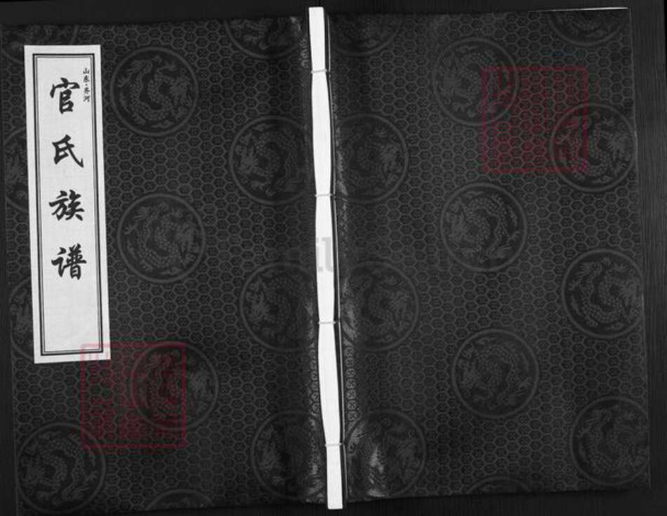 山东省德州市齐河县官氏族谱-山东齐河官氏族谱.pdf电子版缩略图