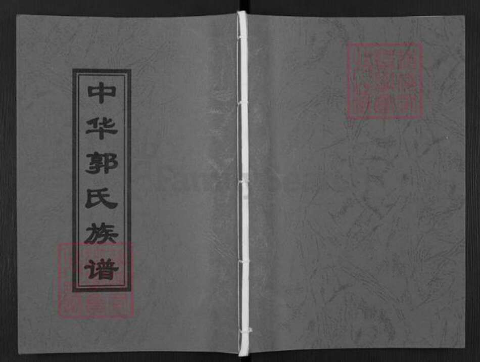 山东省枣庄市薛城区郭氏族谱-中华郭氏族谱.pdf电子版缩略图