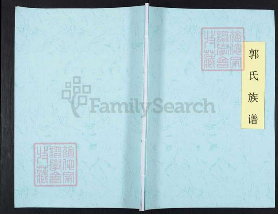 河南省新乡市获嘉县位庄乡郭氏族谱-郭氏族谱.pdf电子版缩略图