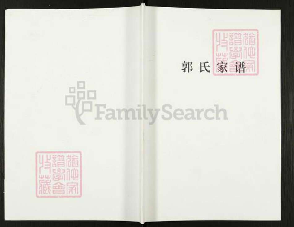 河南省焦作市沁阳市王曲乡郭氏族谱-郭氏家谱.pdf电子版缩略图