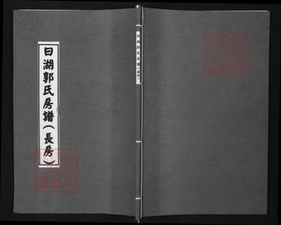 福建省泉州市石狮市蚶江镇郭氏族谱-日湖郭氏房谱(长房).pdf电子版缩略图