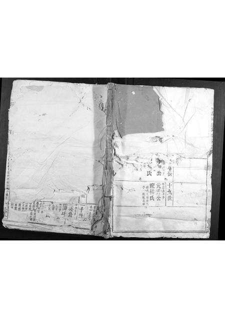 福建邱氏族谱-湖梓里邱氏族谱.pdf电子版缩略图