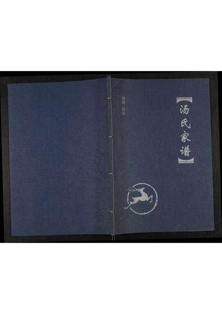 福建汤氏族谱-前林祚汤氏家谱.pdf电子版缩略图