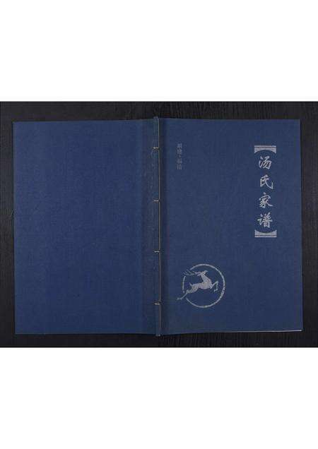 福建汤氏族谱-汤氏家谱.pdf电子版缩略图