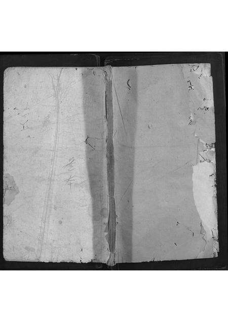 福建王氏族谱-唐科王氏族谱.pdf电子版缩略图