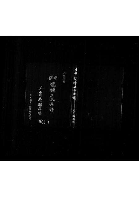 福建王氏族谱-增补龙塘王氏族谱.pdf电子版缩略图