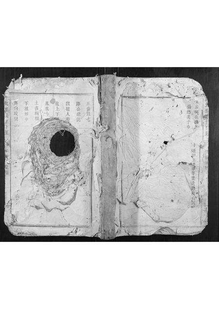 福建王氏族谱-大王坊王氏族谱.pdf电子版缩略图