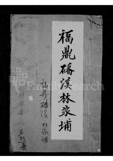 福建王氏族谱-太原王氏宗谱.pdf电子版缩略图