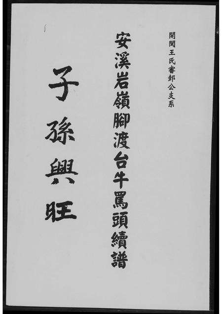 福建王氏族谱-安溪岩岭脚王氏渡台牛骂头续谱.pdf电子版缩略图