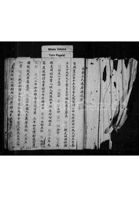 福建王氏族谱-梅溪王氏世谱.pdf电子版缩略图