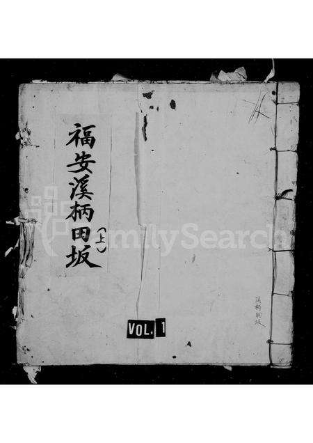 福建王氏族谱-湖塘坂溪王氏族谱.pdf电子版缩略图