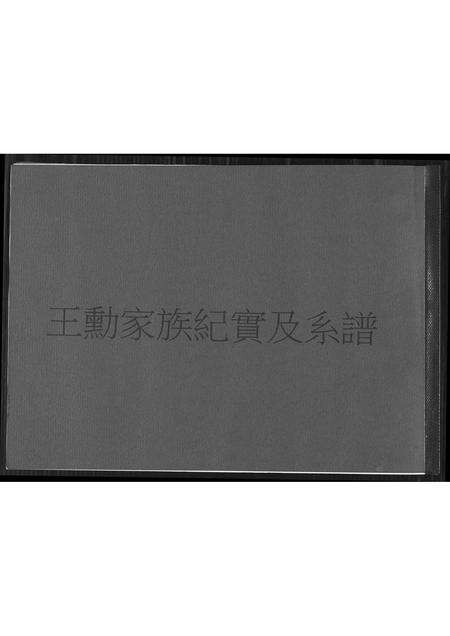 福建王氏族谱-王勋家族纪实及系谱.pdf电子版缩略图