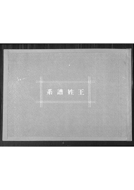 福建王氏族谱-王姓谱系.pdf电子版缩略图