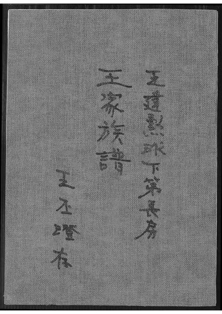 福建王氏族谱-王家族谱.pdf电子版缩略图