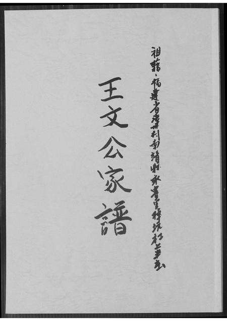 福建王氏族谱-王文公家谱.pdf电子版缩略图