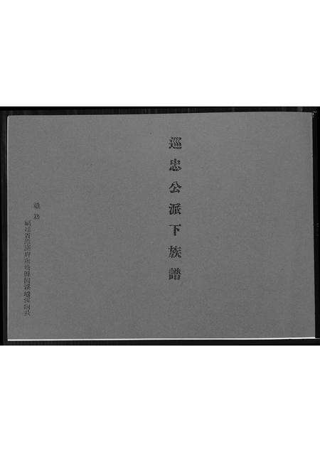 福建王氏族谱-[王氏]巡忠公派下族谱.pdf电子版缩略图
