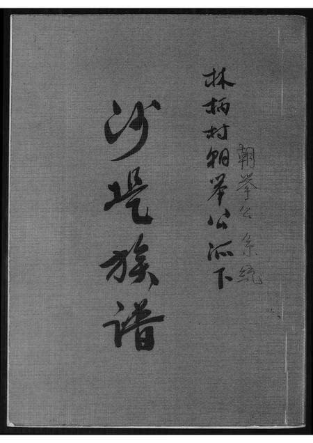 福建王氏族谱-[王氏]沙堤族谱.林柄村朝峯公派下.pdf电子版缩略图