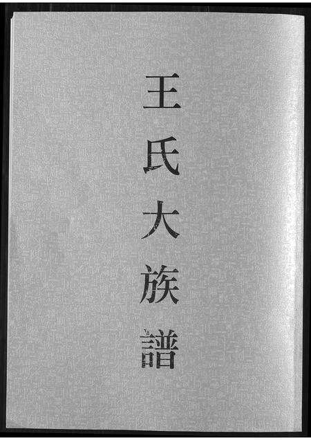 福建王氏族谱-王氏大族谱.pdf电子版缩略图