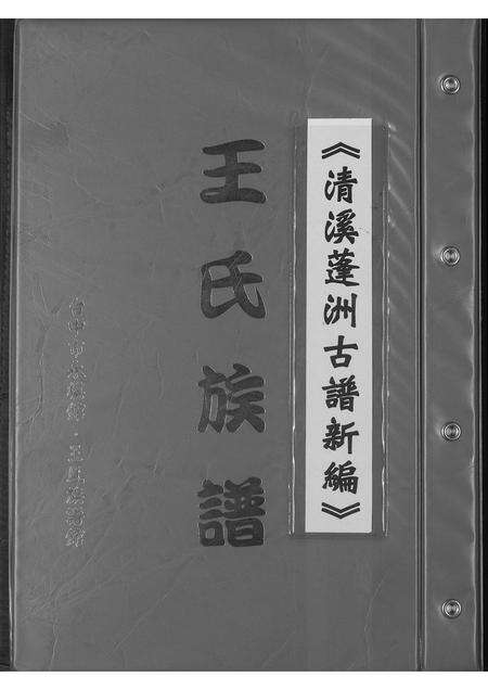福建王氏族谱-王氏宗谱.清溪蓬洲古谱新编.pdf电子版缩略图