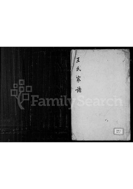 福建王氏族谱-王氏家谱.pdf电子版缩略图