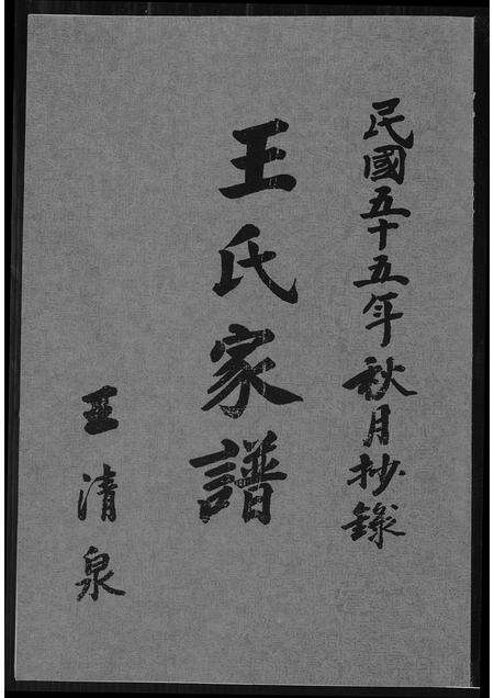 福建王氏族谱-王氏家谱.pdf电子版缩略图