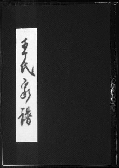 福建王氏族谱-王氏家谱.pdf电子版缩略图