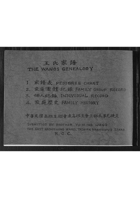 福建王氏族谱-王氏家谱.pdf电子版缩略图