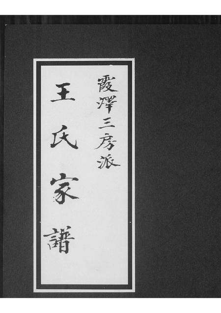福建王氏族谱-王氏家谱霞泽三房派.pdf电子版缩略图