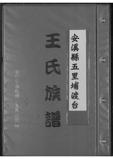 福建王氏族谱-王氏族谱.pdf电子版缩略图